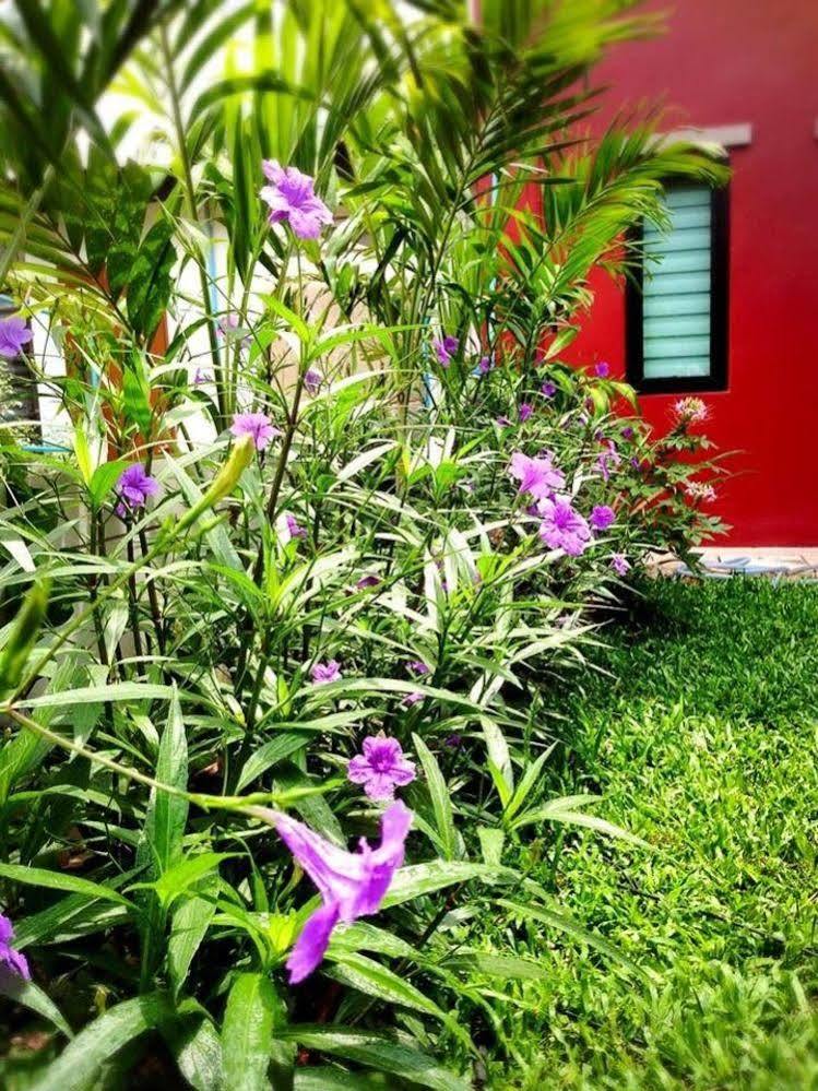 Hotel Mulberry House Pak Thong Chai Exteriér fotografie